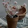 Abigail Ahern Mini Succulent In Pot
