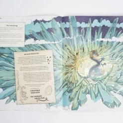 Chronicle Books The Dragon Ark Curatoria Draconis Book Tomislav Tomic