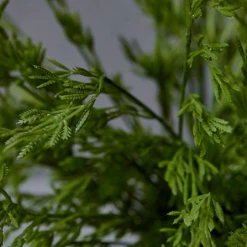 Abigail Ahern Juniper Leaf Faux Stem