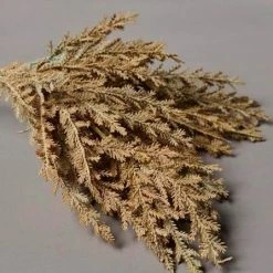 Abigail Ahern Faux Senecio Sunset Stem