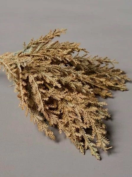 Abigail Ahern Faux Senecio Sunset Stem 3 Abigail Ahern Faux Senecio Sunset Stem