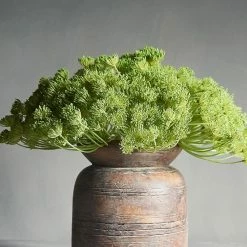 Abigail Ahern Wild Fennel