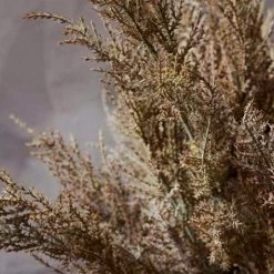 Abigail Ahern Faux Juniper Branch Desert