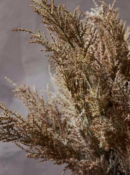 Abigail Ahern Faux Juniper Branch Desert 4 Abigail Ahern Faux Juniper Branch Desert