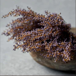 Abigail Ahern Heather Faux Stem