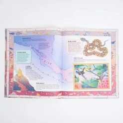 Chronicle Books The Magic Carpets Guide To Earths Forbidden Places Patrick Makin Whooli Chen 11 Chronicle Books The Magic Carpets Guide To Earths Forbidden Places Patrick Makin Whooli Chen