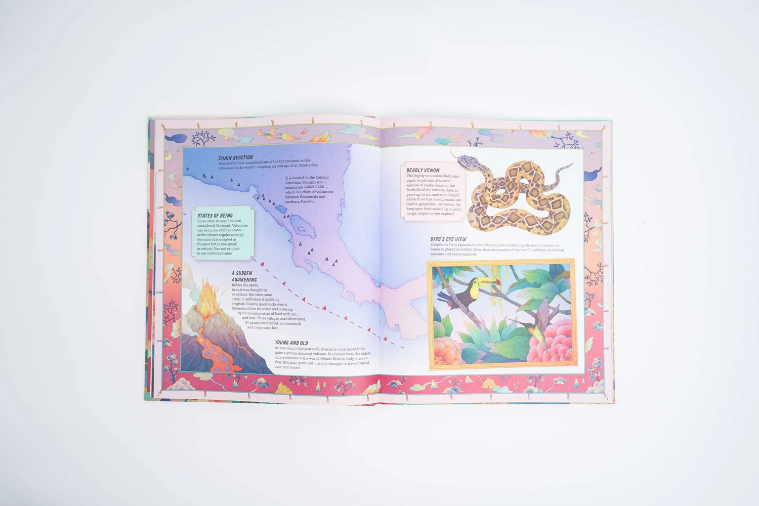 Chronicle Books The Magic Carpets Guide To Earths Forbidden Places Patrick Makin Whooli Chen 6 Chronicle Books The Magic Carpets Guide To Earths Forbidden Places Patrick Makin Whooli Chen