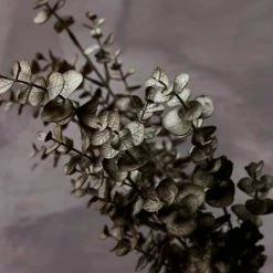 Abigail Ahern Eucalyptus Russet Faux Stem