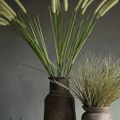 Abigail Ahern Wolftail