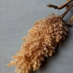 Abigail Ahern Tule Cape Stem