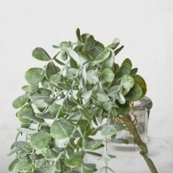 Abigail Ahern Trailing Eucalyptus Faux Stem