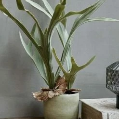 Abigail Ahern Faux Staghorn Plant