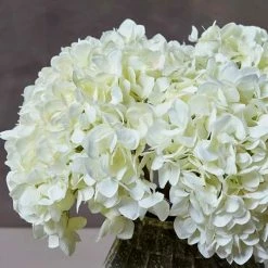 Abigail Ahern Hydrangea Blanc Faux Stem