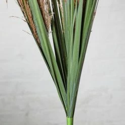 Abigail Ahern Pink Pampas Faux Stem