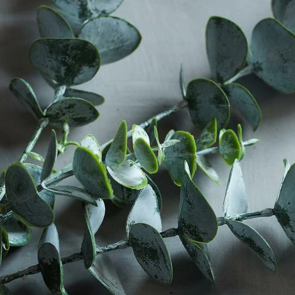 Abigail Ahern Eucalyptus Sage Faux Stem 5 Abigail Ahern Eucalyptus Sage Faux Stem