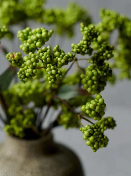 Abigail Ahern Green Wild Berry Faux Stem 3 Abigail Ahern Green Wild Berry Faux Stem