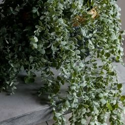 Abigail Ahern Trailing Eucalyptus