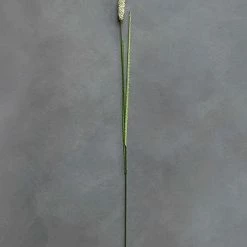 Abigail Ahern Wolftail