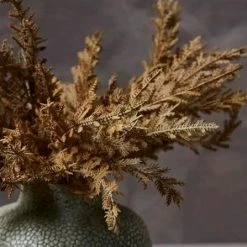 Abigail Ahern Faux Senecio Sunset Stem