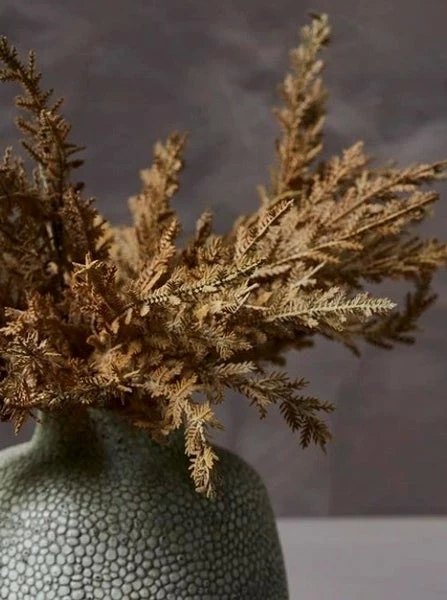 Abigail Ahern Faux Senecio Sunset Stem 4 Abigail Ahern Faux Senecio Sunset Stem