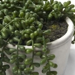 Abigail Ahern Faux String Of Pearls Succulent