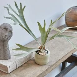 Abigail Ahern Faux Staghorn Plant