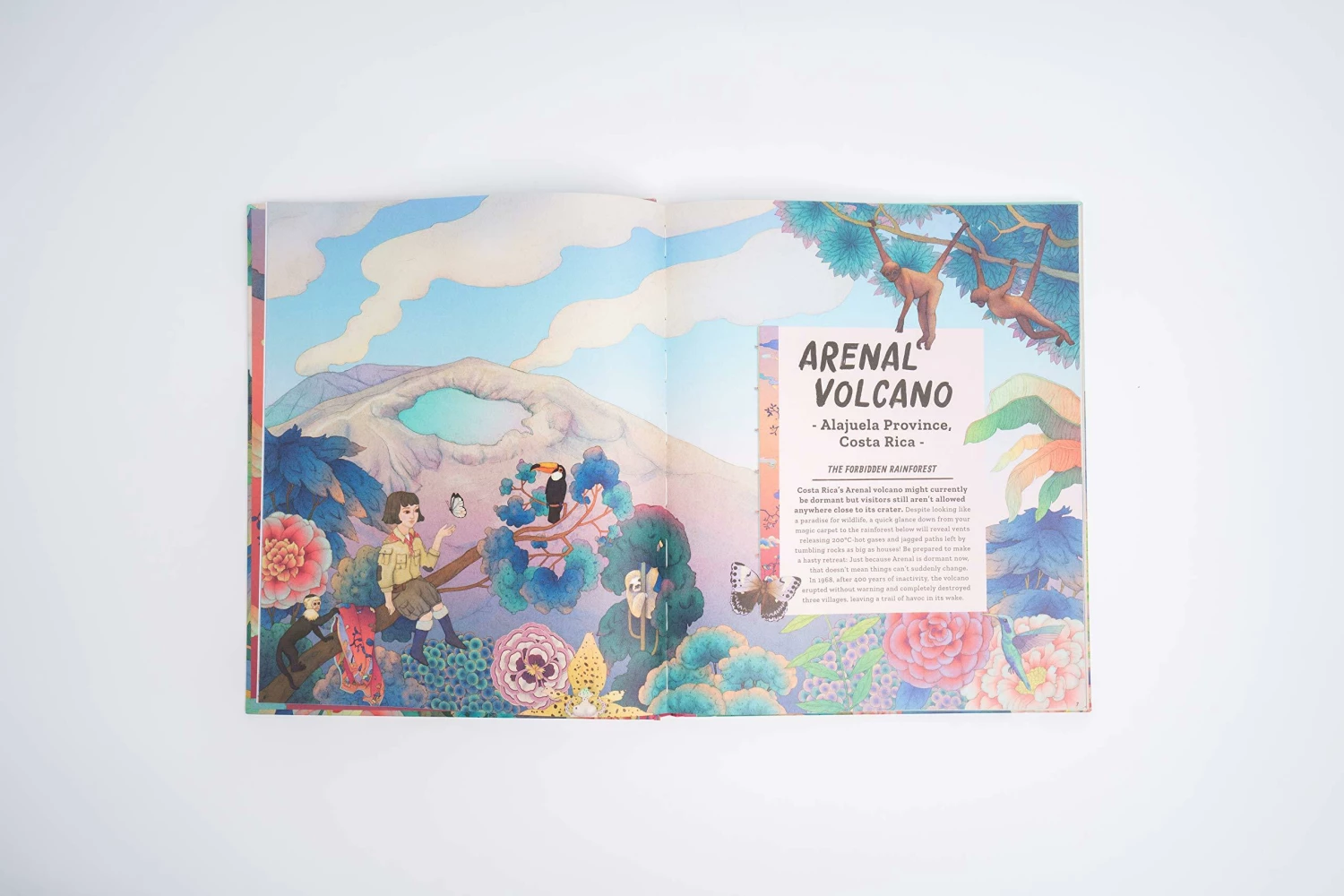 Chronicle Books The Magic Carpets Guide To Earths Forbidden Places Patrick Makin Whooli Chen 8 Chronicle Books The Magic Carpets Guide To Earths Forbidden Places Patrick Makin Whooli Chen