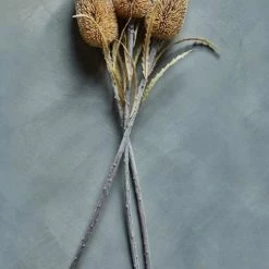 Abigail Ahern Banksia Cinnamon