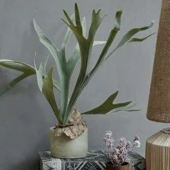 Abigail Ahern Mini Succulent In Pot