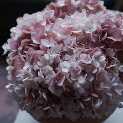 Abigail Ahern Blush Hydrangea Faux Stem