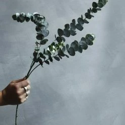 Abigail Ahern Eucalyptus Sage Faux Stem 9 Abigail Ahern Eucalyptus Sage Faux Stem