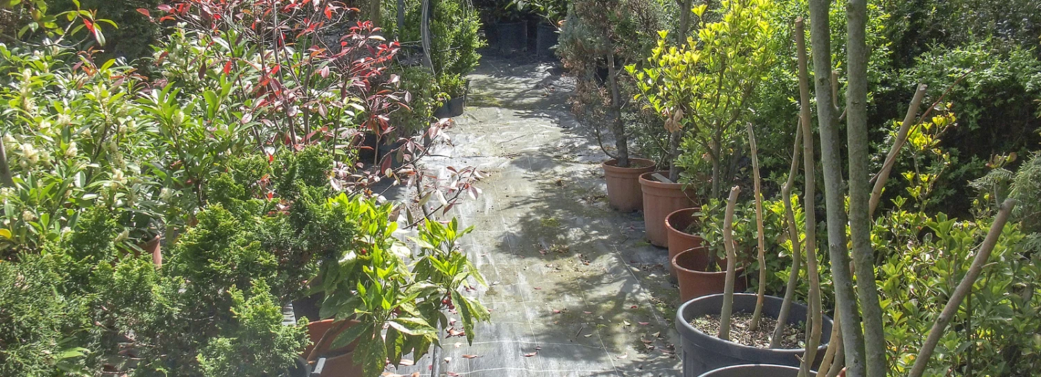 Abigail Ahern Shop -Abigail Ahern Shop 7