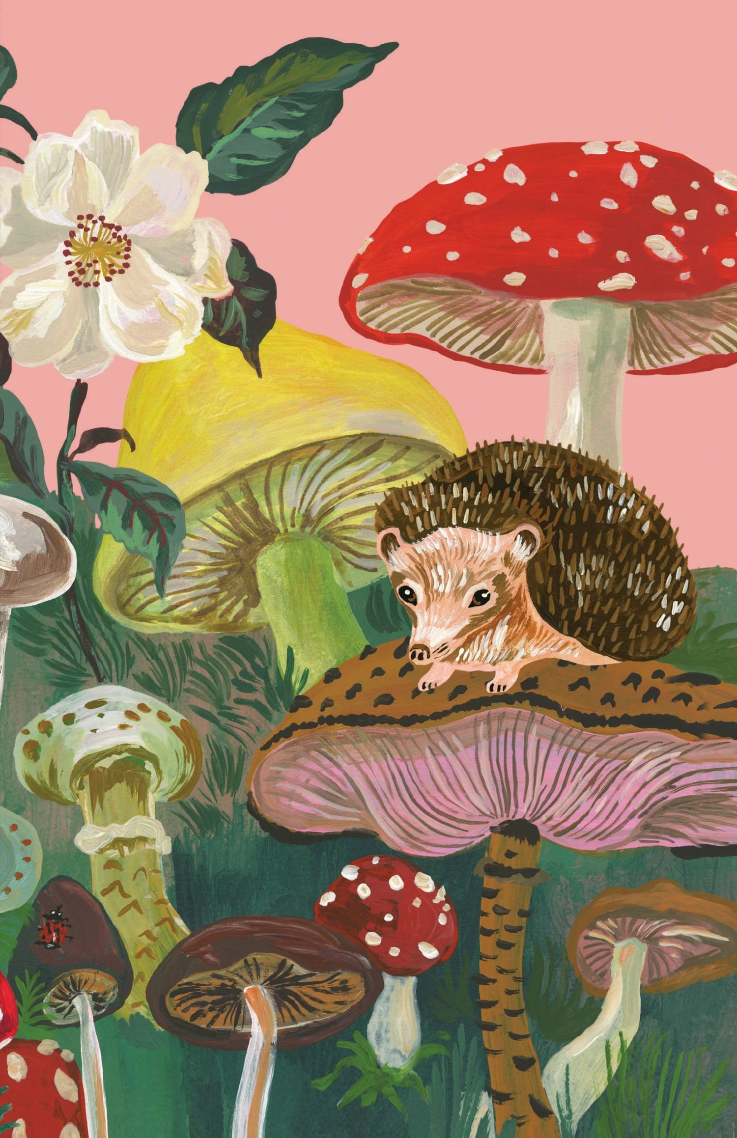 Chronicle Books Forest Life Notebooks Set Of 2 By Nathalie Lete 6 Chronicle Books Forest Life Notebooks Set Of 2 By Nathalie Lete