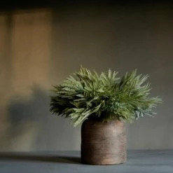 Abigail Ahern Mimosa Grass Faux Stem