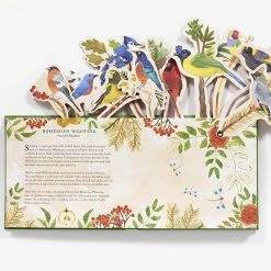 Chronicle Books Birds In A Book Pop Up Book Lesley Earle Rachel Grant