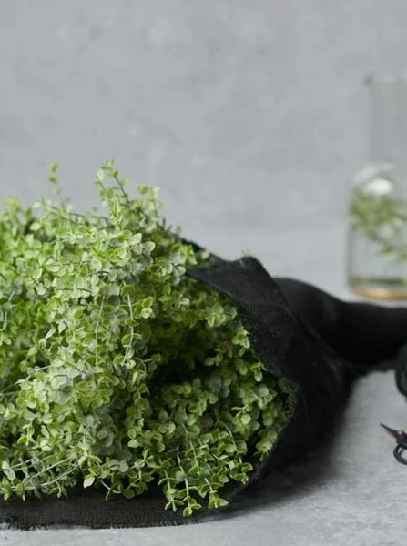 Abigail Ahern Boxwood Faux Stem 4 Abigail Ahern Boxwood Faux Stem