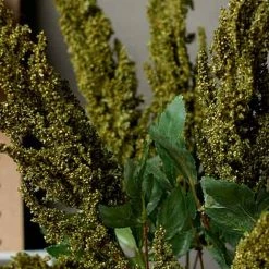 Abigail Ahern Astilbe Green