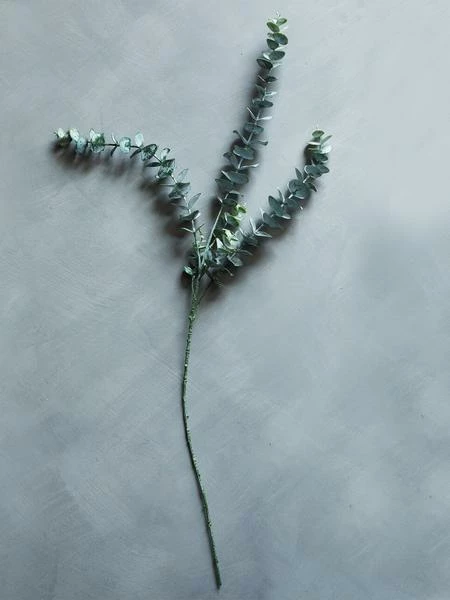 Abigail Ahern Eucalyptus Sage Faux Stem 4 Abigail Ahern Eucalyptus Sage Faux Stem