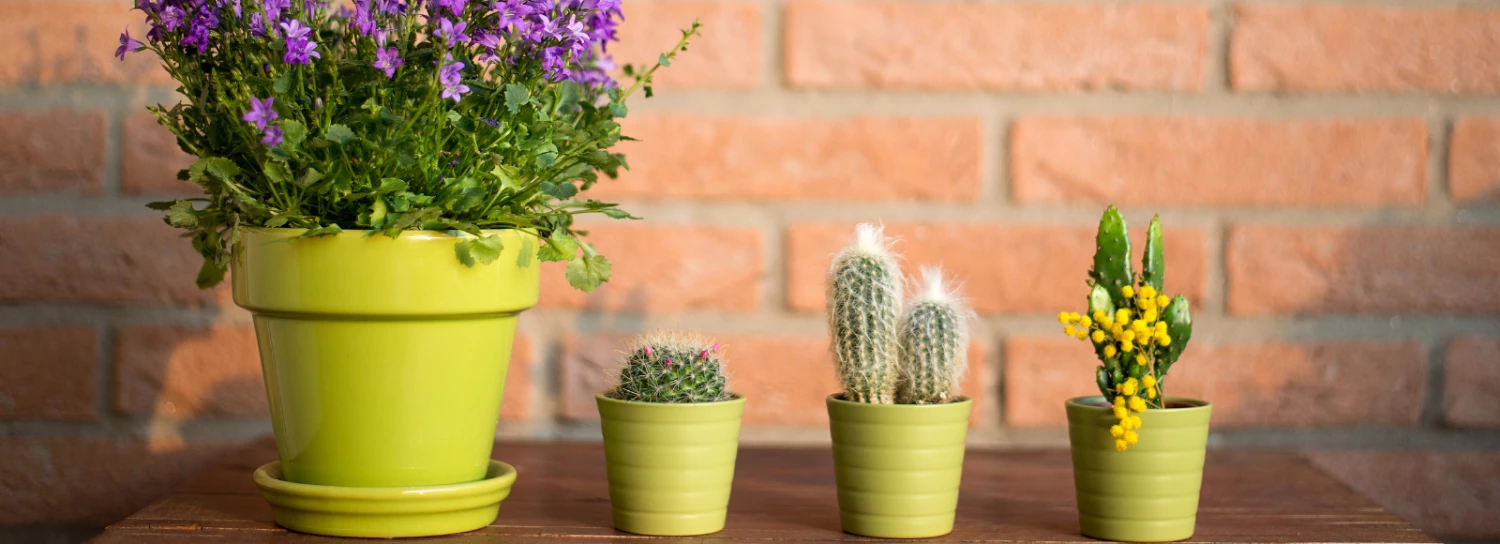 Abigail Ahern Shop -Abigail Ahern Shop 9