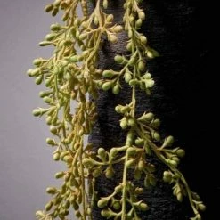 Abigail Ahern Creeping Sedum Faux Trailing Stem