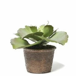 Abigail Ahern Faux Echeveria Crinoline Plant 7 Abigail Ahern Faux Echeveria Crinoline Plant