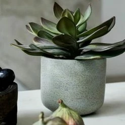 Abigail Ahern Faux Echeveria Green Prince Plant