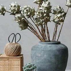 Abigail Ahern Cardoon Bunch