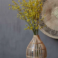 Abigail Ahern Stirlingia Latifolia Yellow