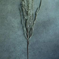 Abigail Ahern Lace Lock Faux Stem