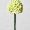 Abigail Ahern White Allium Faux Stem