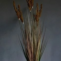 Abigail Ahern Faux Barngrass Plant