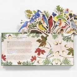 Chronicle Books Birds In A Book Pop Up Book Lesley Earle Rachel Grant