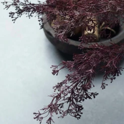 Abigail Ahern Meadow Grass Faux Stem