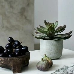 Abigail Ahern Faux Echeveria Green Prince Plant